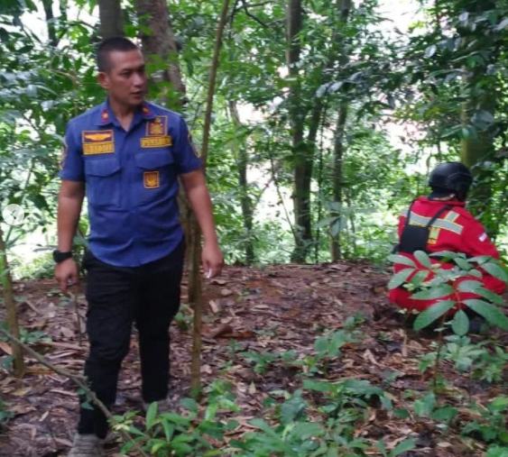 damkar kuningan jawa barat saat usir monyet liar di permukiman warga