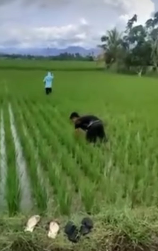viral video pria menyamar jadi petani di sawah ternyata ini alasannya