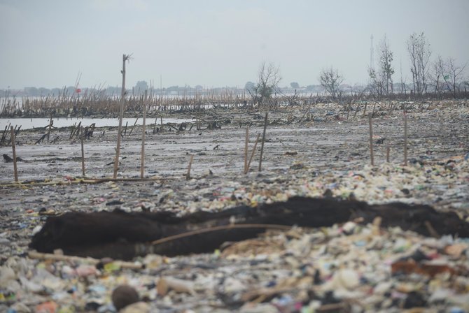 foto esai lautan sampah di muara sungai cisadane