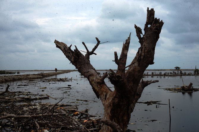 foto esai lautan sampah di muara sungai cisadane