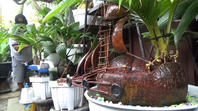 bonsai kelapa hasil karya pensiunan pns