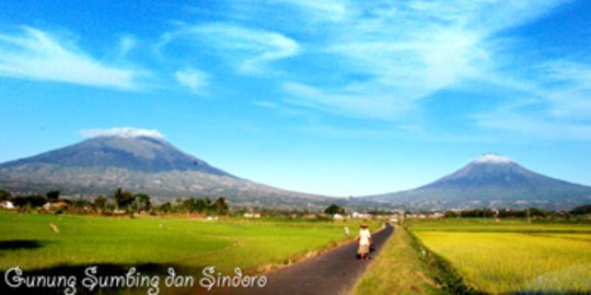 Lereng Gunung Sindoro Darurat Air, Para Pecinta Alam Tanam 1.000 Pohon