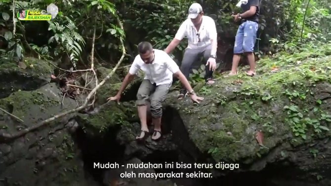 kunjungi langkat wagub sumut takjub lihat pohon raksasa berusia ratusan tahun ini