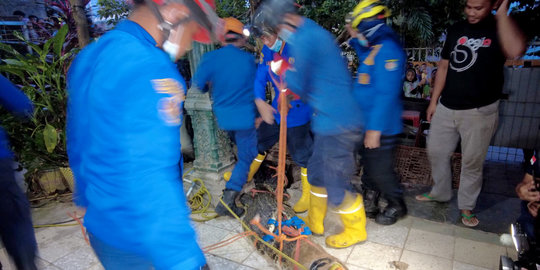 Petugas Damkar Evakuasi Buaya 80 Kg dari Rumah Warga Depok