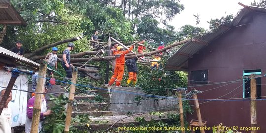 11 Rumah Warga Tasikmalaya Tertimpa Pohon Akibat Angin Kencang