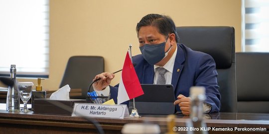 Menko Airlangga Dorong B20 Investasi di Sektor Energi Baru Terbarukan RI