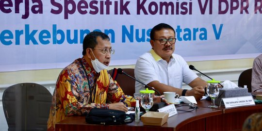 Komisi VI DPR Berharap Peran PTPN V Lebih Besar untuk Produksi Minyak Sawit