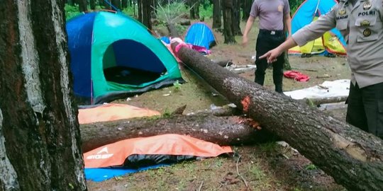 Dua Remaja di Maros Tewas Tertimpa Pohon Pinus saat Berkemah