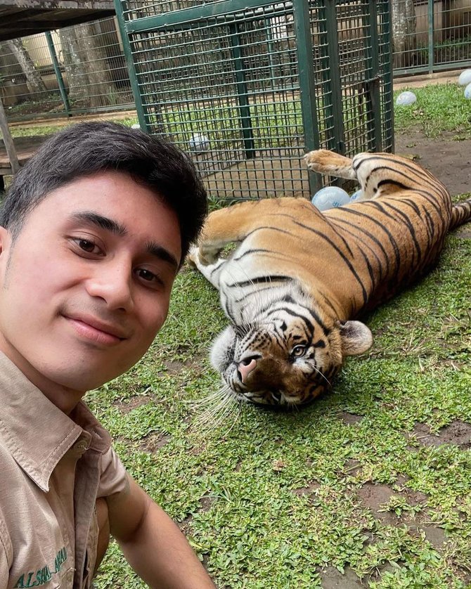 potret alshad ahmad ciuman sama harimau