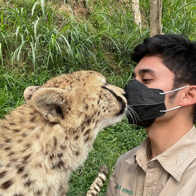 potret alshad ahmad ciuman sama harimau