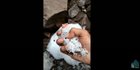 Viral Pendaki Gunung Slamet Temukan Kristal Es, Warganet Ungkap Pertanda Ini