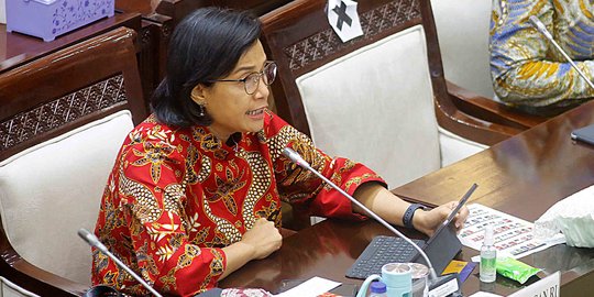 KSSK Dukung Upaya Antisipasi Perubahan Iklim Saat KTT G20