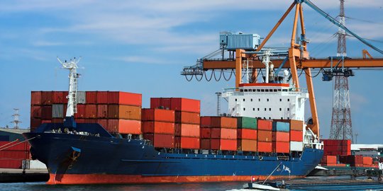 BI Perpanjang Pembebasan Sanksi Ekspor Hingga Akhir 2022