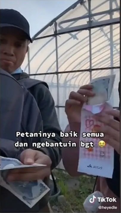 wni ini kerja jadi petani di jepang gaji dan sistem kerja bikin semangat