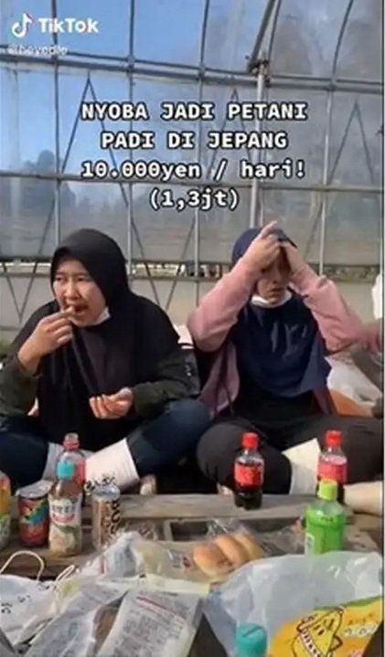 wni ini kerja jadi petani di jepang gaji dan sistem kerja bikin semangat