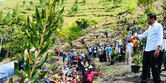 Jokowi Tanam Pohon Bersama Masyarakat di Desa Simangulampe