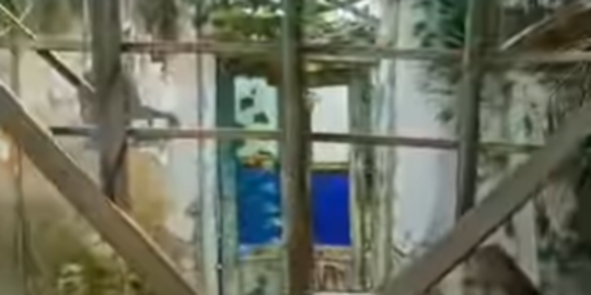 Potret Rumah Pahlawan Perobek Bendera Belanda, Tersisa Dinding Tanpa Atap