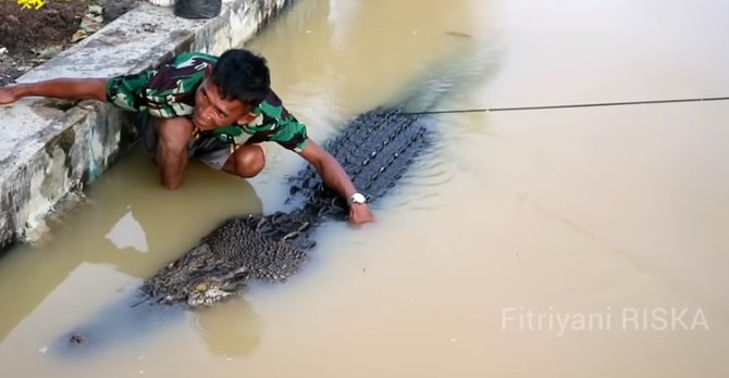 potret pria interaksi dengan buaya