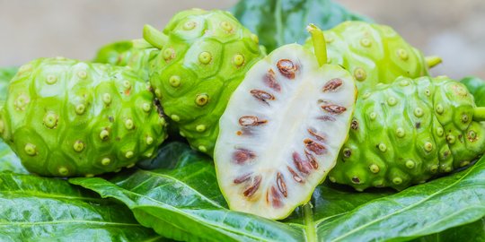 Resep Buah Mengkudu yang Menyegarkan dan Menyehatkan, Mudah Dibuat