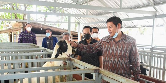 Limbah Organik di Kota Kediri Diubah Jadi Pakan Ternak