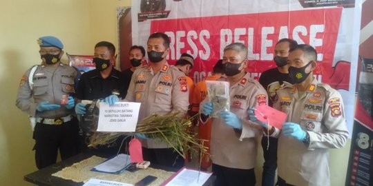 Polres OKU Buru Residivis Pemilik Kebun Ganja yang Kabur Saat Digerebek