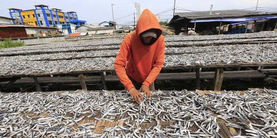 Produksi Olahan Ikan Asin Turun Akibat Curah Hujan