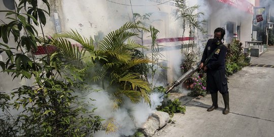 Warga Meninggal akibat DBD di Kota Tasikmalaya Bertambah Jadi 5 Orang
