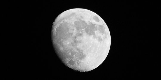 I Love You to The Moon and Back Artinya sebagai Berikut