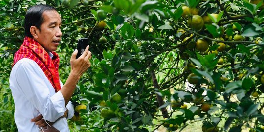 Presiden Jokowi Jadikan Ibu Kota Nusantara Ajang Unjuk Gigi Transformasi Indonesia