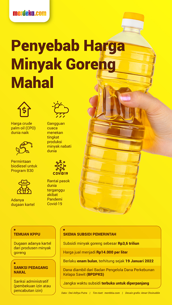 Infografis Ironi Minyak Goreng Masih Mahal Dan Langka Merdeka Com