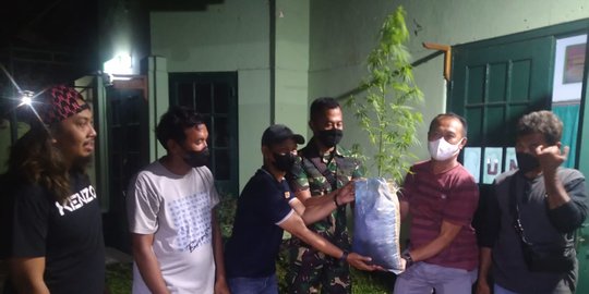 Cari Jambu, Warga Gowa Malah Temukan Tanaman Diduga Ganja