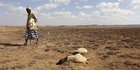 13 Juta Orang di Afrika Terancam Mati Kelaparan karena Kekeringan