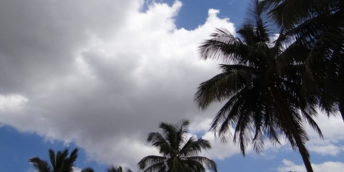 Suhu Semarang Saat Ini dan Beberapa Hari ke Depan, Paling Tinggi 31