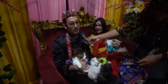 Rayakan Bak Orang Hajatan, Ini Momen Denny Sumargo dan Istri Kebiri Kucing Kesayangan