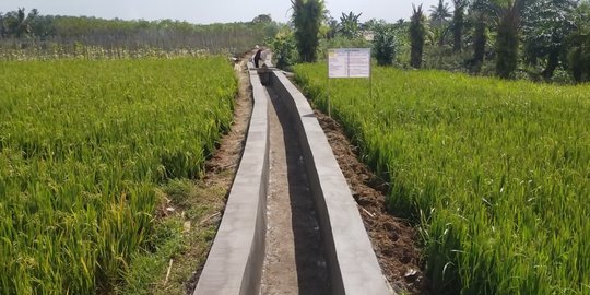 Program RJIT Kementan Tingkatkan Indeks Pertanaman Petani Bengkulu Utara