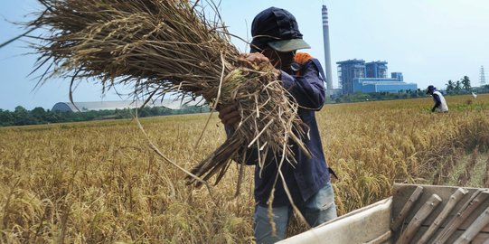 Tembus Pasar Global, Pertanian Indonesia Perlukan Modernisasi