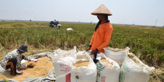 pertanian perlu ditingkatkan