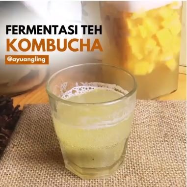 kombucha mangga