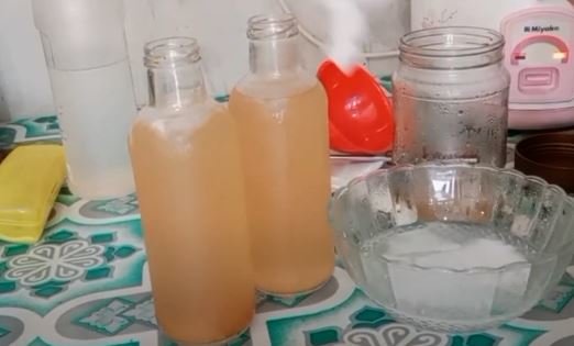 kombucha kelapa muda