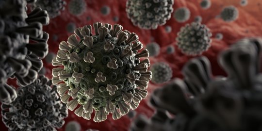 Omicron Terdeteksi Masuk Papua Barat