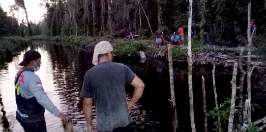 Mandi di Kanal, Warga Kalimantan Utara Hilang Diterkam Buaya