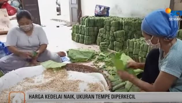 curhat perajin tempe di jateng