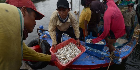 Kesibukan Nelayan Bongkar Hasil Tangkapan di Muara Angke