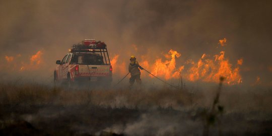 Penampakan Api yang Menghanguskan 500 Ribu Hektar Hutan Argentina