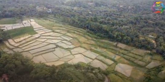 Gubernur Sumbar Dorong Petani Gunakan Pupuk Organik