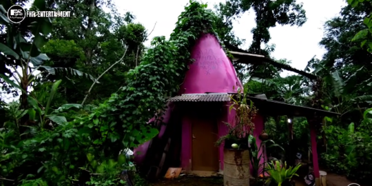 Potret Rumah Unik di Tengah Hutan Warnanya Pink dan Bentuknya Kerucut