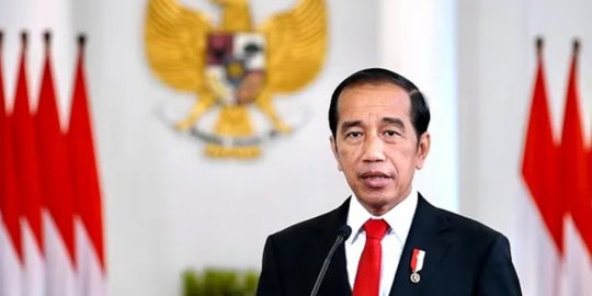 Jokowi Tak Perlu Persetujuan DPR untuk Angkat Kepala Otorita Ibu Kota Nusantara