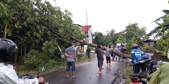 BMKG Keluarkan Peringatan Dini Waspada Cuaca Ekstrem di 22 Daerah Se-NTT