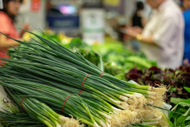 daun bawang dengan akarnya