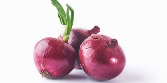 Kisah Inspiratif Pengusaha Eco Print Jatim, Pakai Daun Jati hingga Kulit Bawang Merah